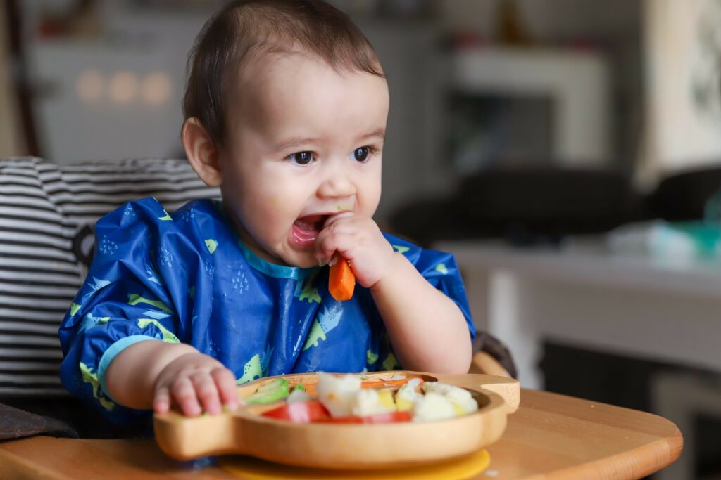 Modified baby sale led weaning